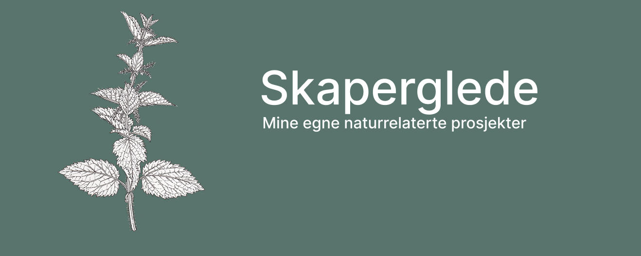 Banner bildet av NorStrim prosjektet.