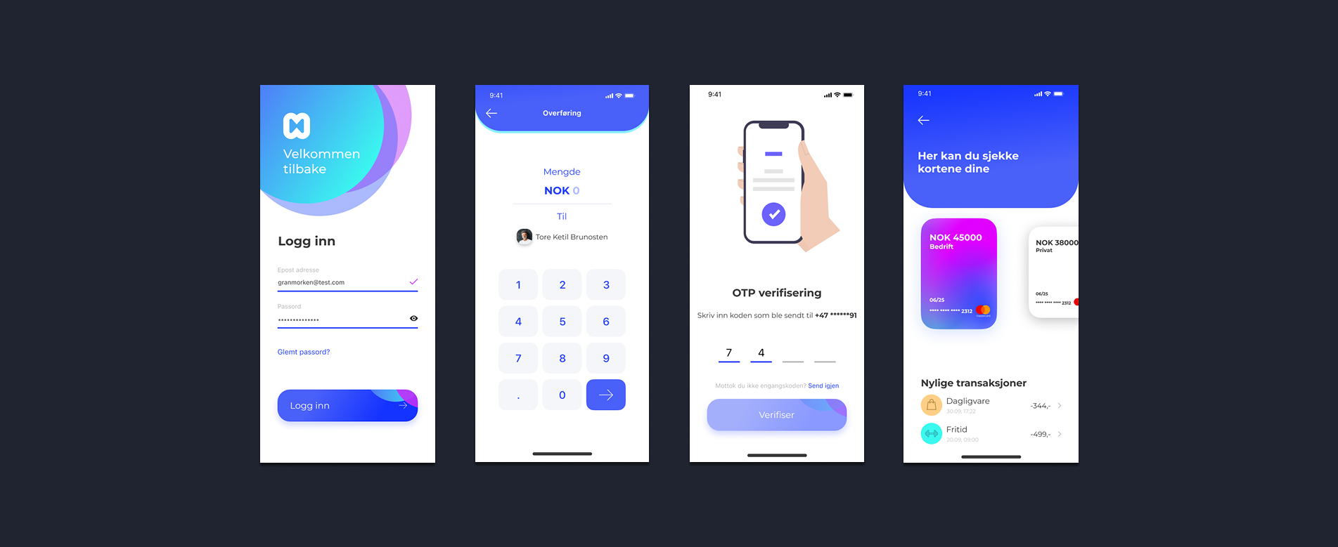 Illustrerende Introduksjon av prosjektet Moni